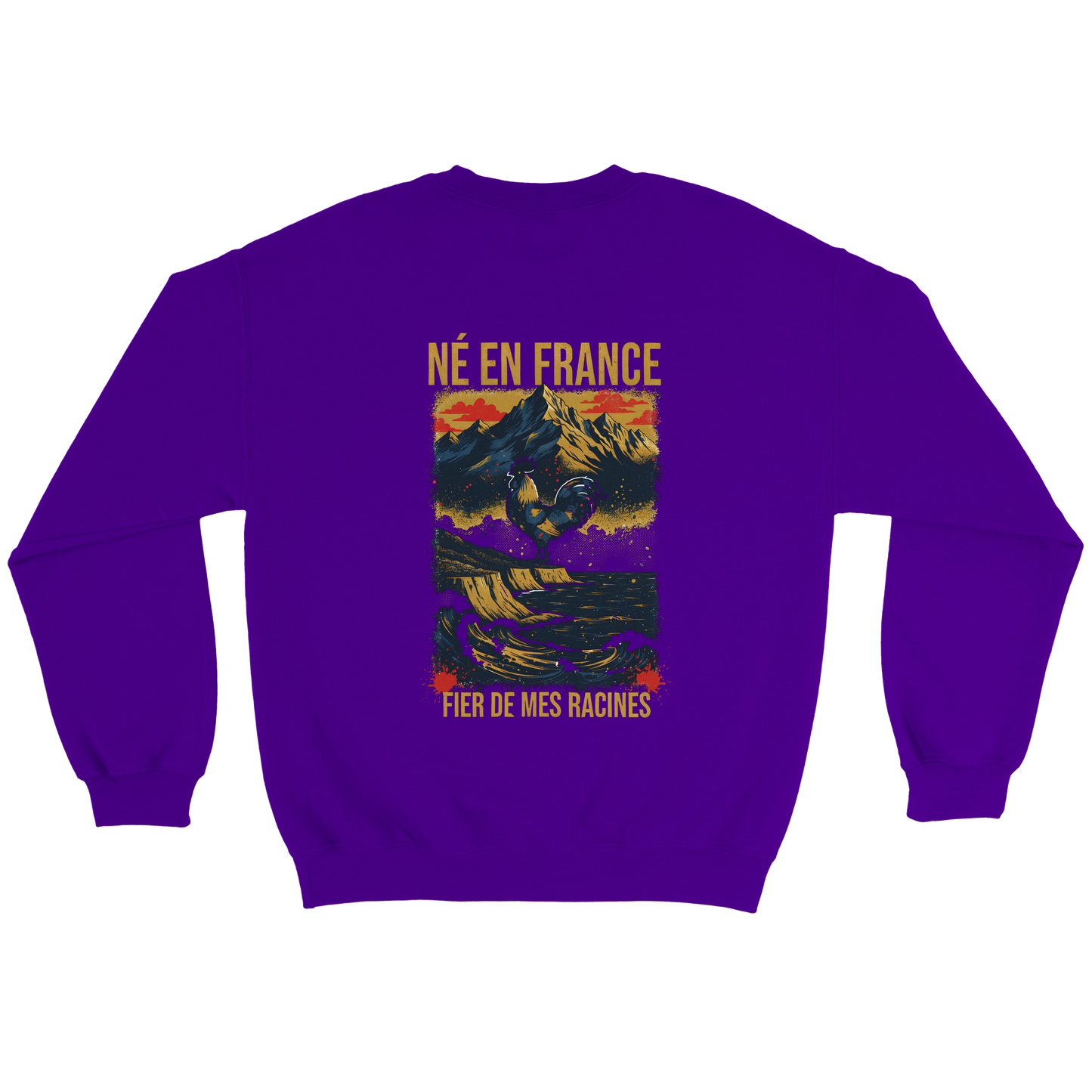 Sweat-shirt Homme « Né en France » – Confort Premium et Design Durable