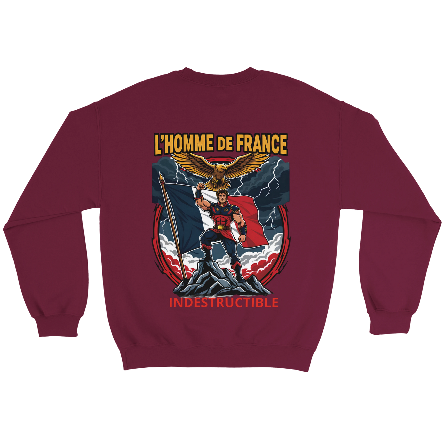 Sweat-shirt Homme France - Premium Cotton Blend Crewneck