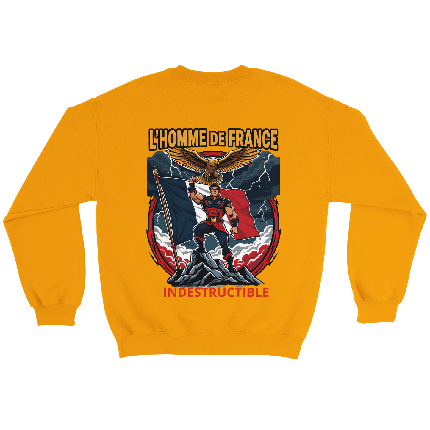 Sweat-shirt Homme France - Premium Cotton Blend Crewneck