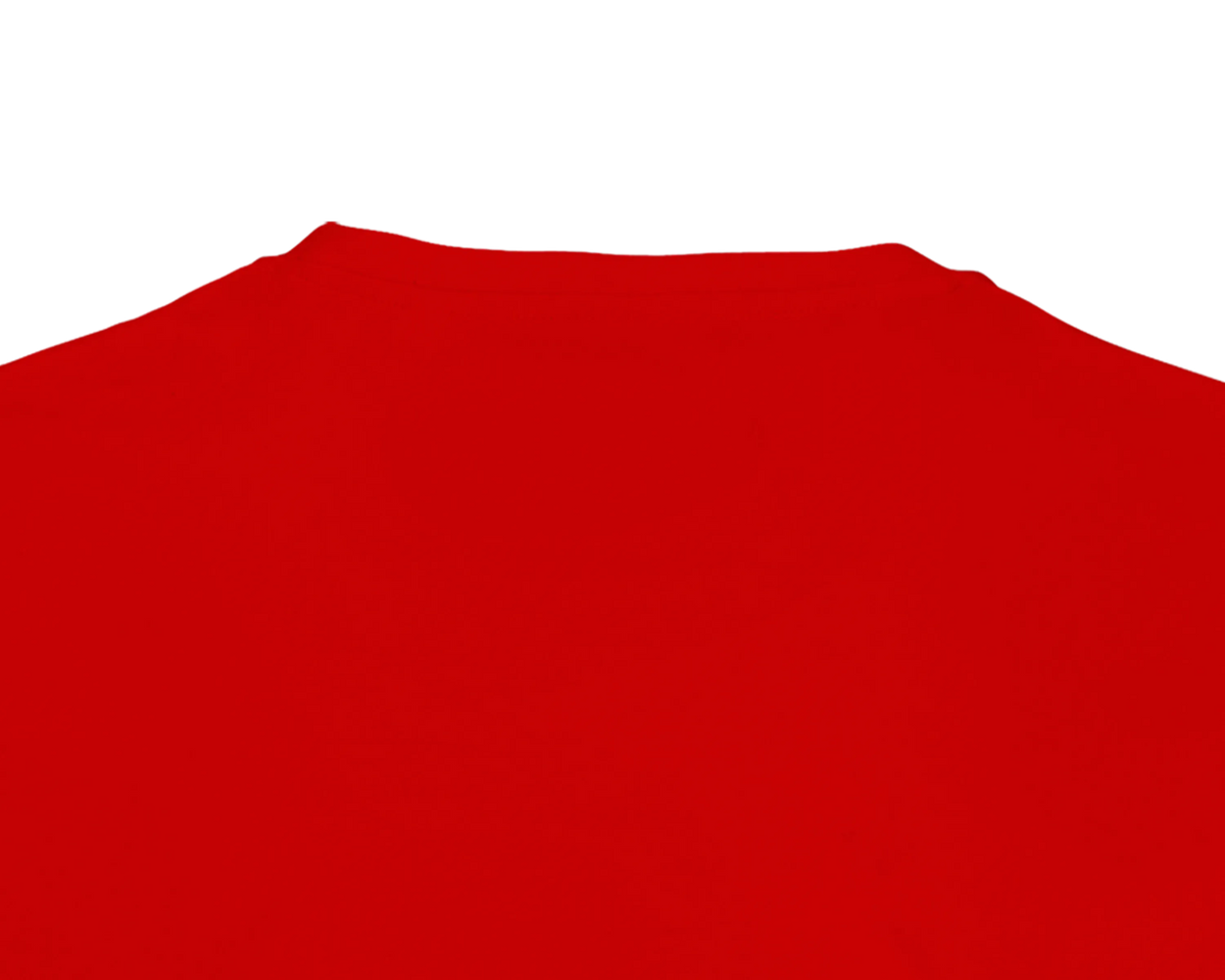 T-Shirt für Herren Frankreich Torwart Baumwolle in Bio-Umstellung | SOL'S Legend 03981