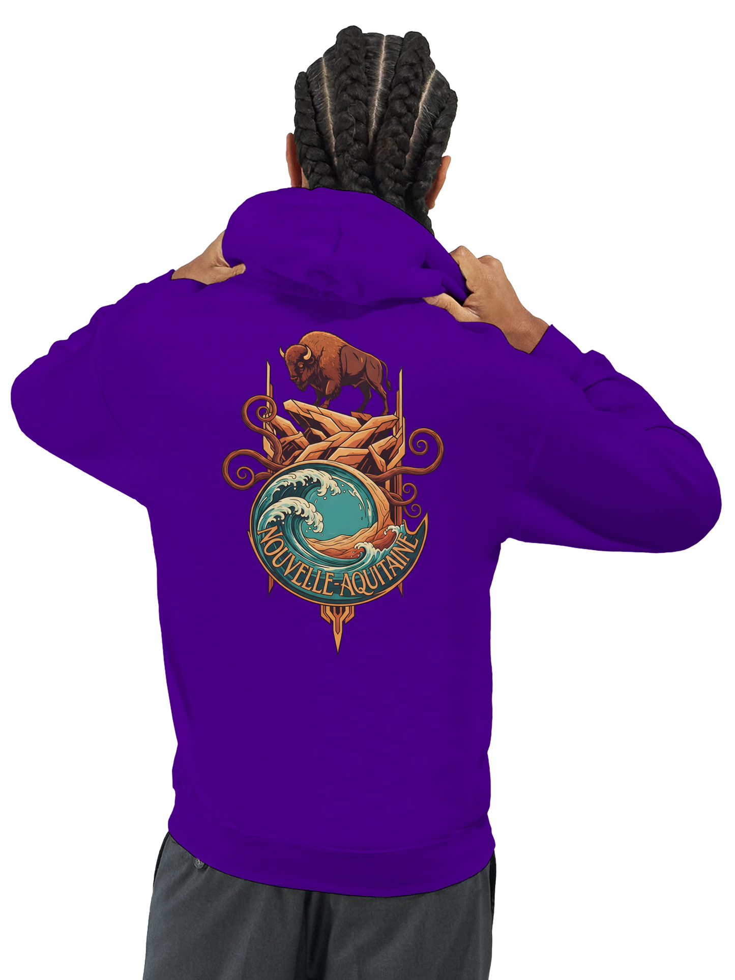 Sweat à capuche unisexe Nouvelle-Aquitaine - Hoodie premium en coton mélangé