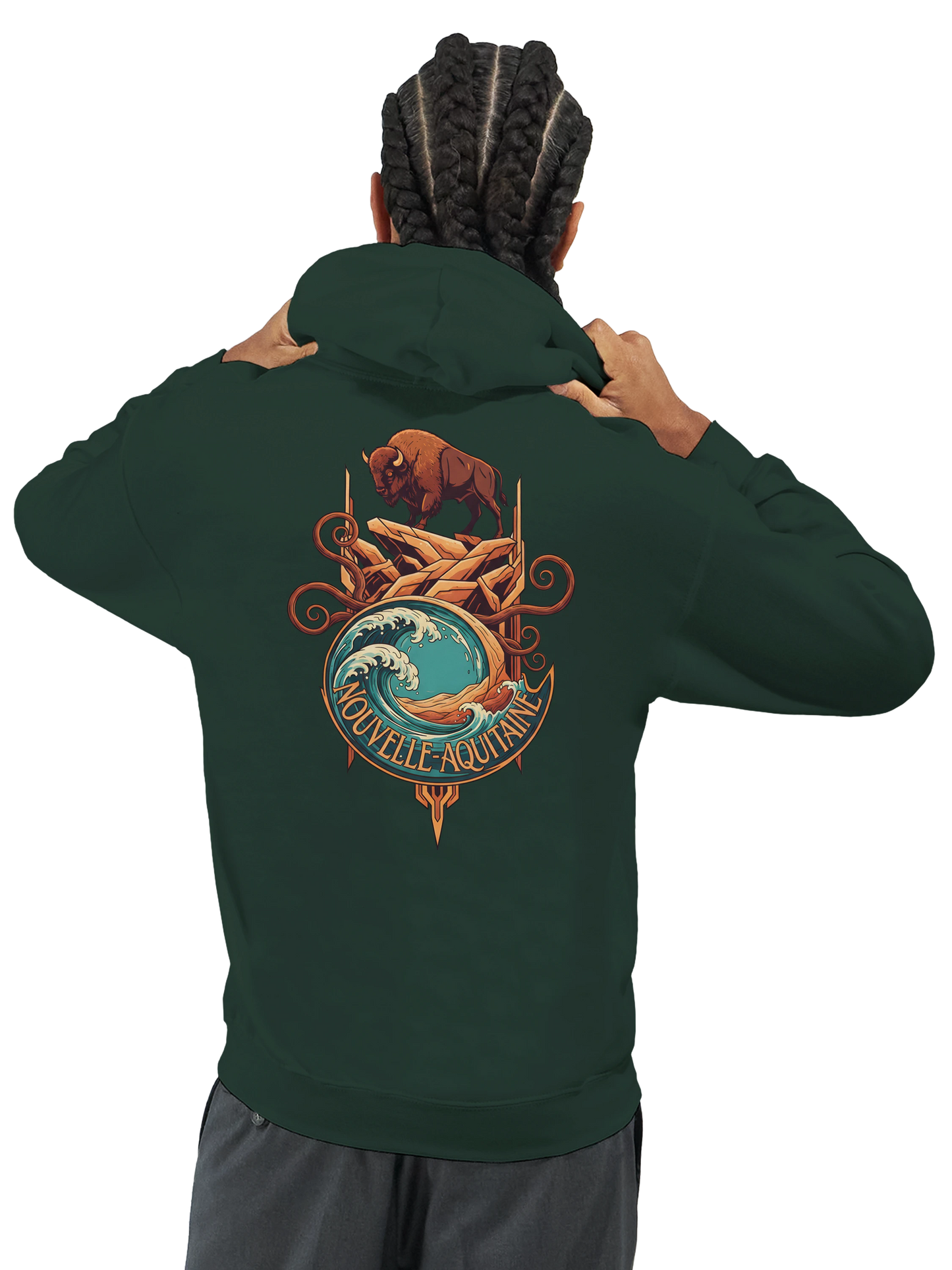 Sweat à capuche unisexe Nouvelle-Aquitaine - Hoodie premium en coton mélangé