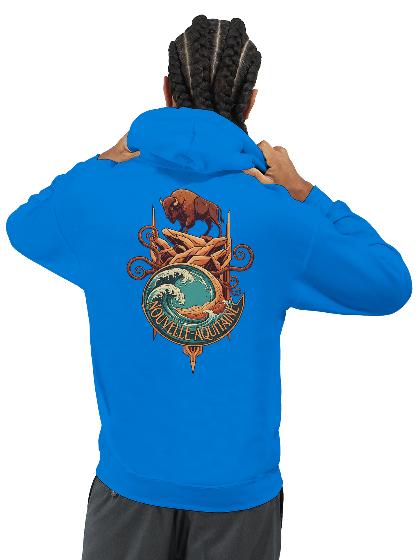 Sweat à capuche unisexe Nouvelle-Aquitaine - Hoodie premium en coton mélangé
